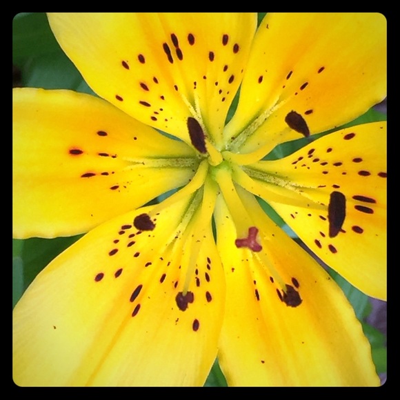 🌷 Poshmark Ambassador • Kathy - Picture 5 of 14